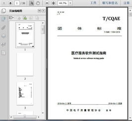 t cqae 11004 2018医疗服务软件测试指南30页