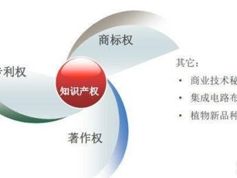 图 南山 福田 软件著作权申请 公司注册 深圳工商注册